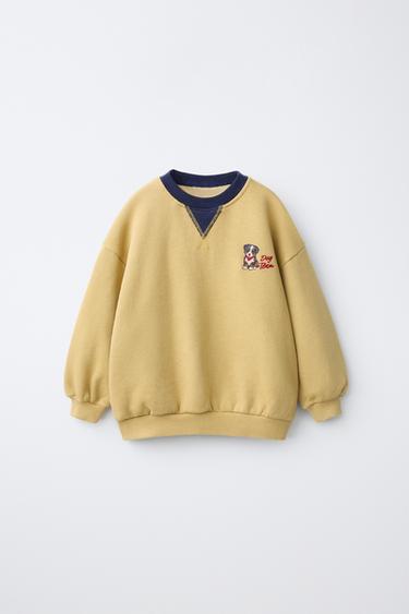 Zara Свитшот с вышивкой собаки купить с доставкой.