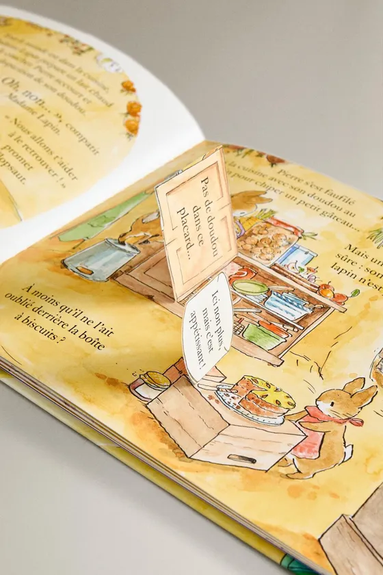 Детская книга пирре крольчонок и его любимец для сна