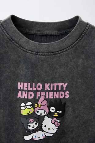 Футболка с эффектом потертости и принтом Hello Kitty And Friends ©- Заказать в России