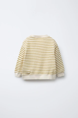 Толстовка в полоску с вышитой надписью- Заказать в России