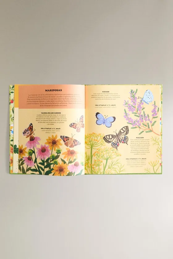 Детская книга el tesoro de verano