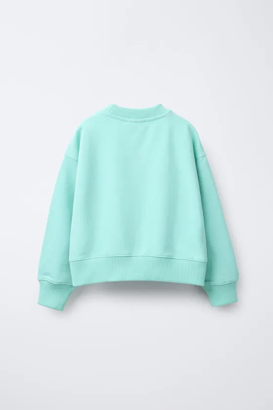 УКОРОЧЕННАЯ ТОЛСТОВКА С ПРИНТОМ