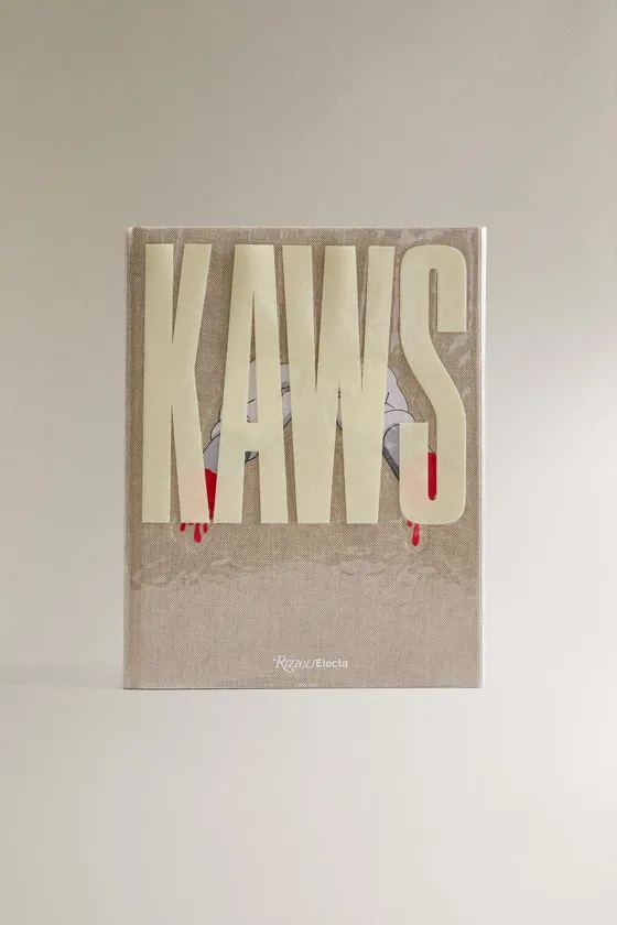 Книга kaws