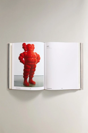 Книга KAWS- Заказать в России