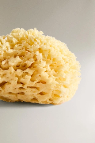 Губка для ванны- Заказать в России