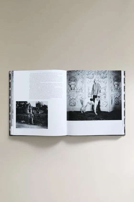 Книга яркие молодые люди цесиля битона