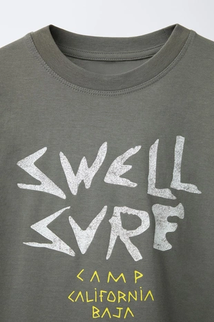 Grey | 4456/600/802 - Zara Футболка с принтом