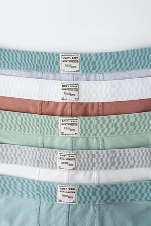 3-6 лет/набор из пяти трусов-боксеров с этикеткой- Заказать в России