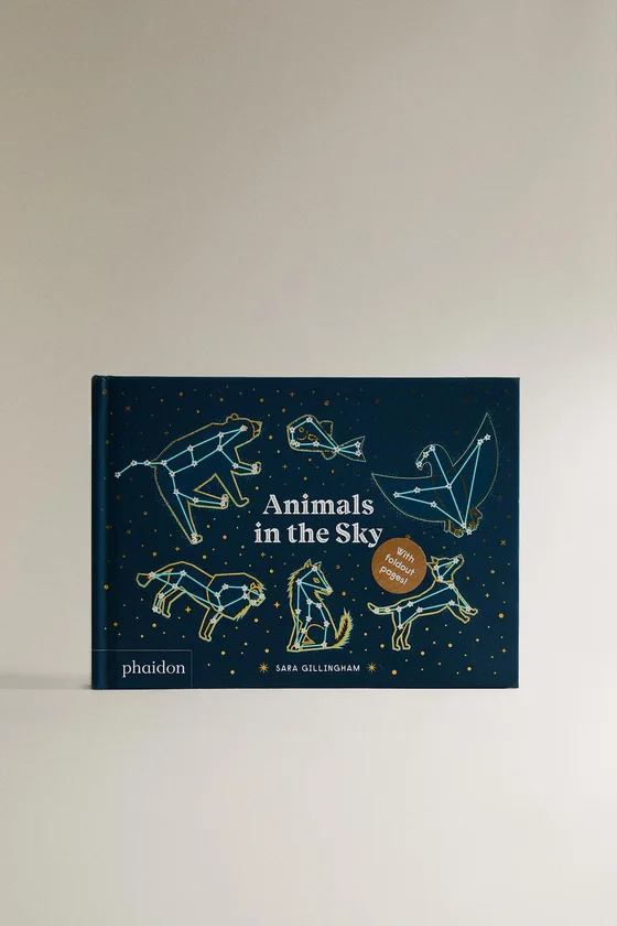 Книга для детей животные на небе