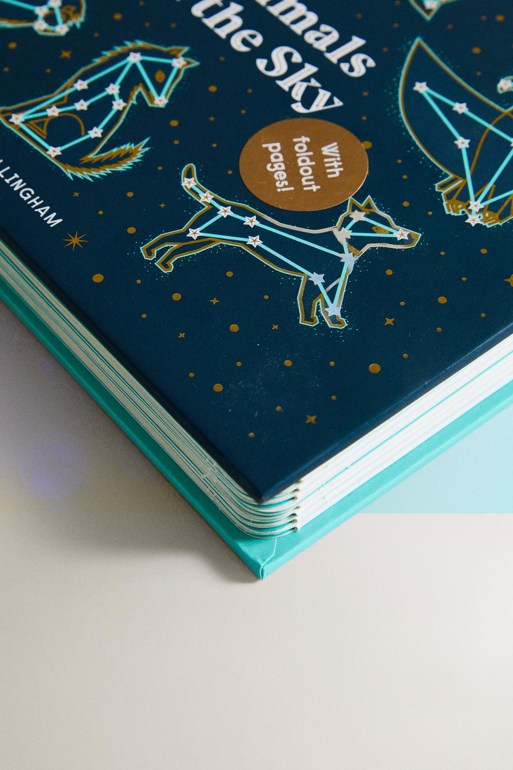 Книга для детей животные на небе