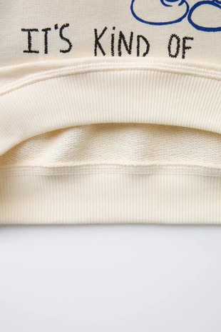 Толстовка MICKEY MOUSE © DISNEY- Заказать в России