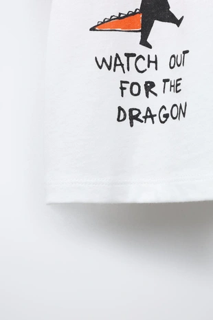 Футболка с принтом- Заказать в России