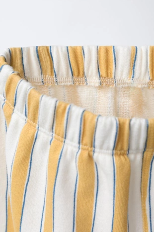 Штаны BAGGY в полоску- Заказать в России