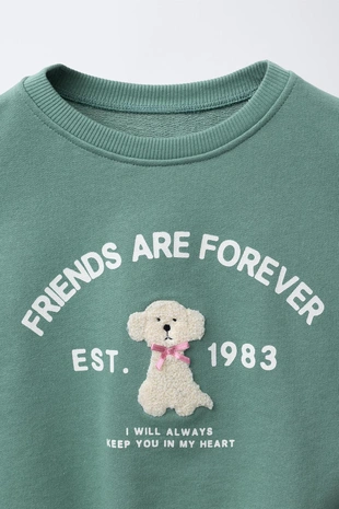 Толстовка с махровой аппликацией - Заказать в России