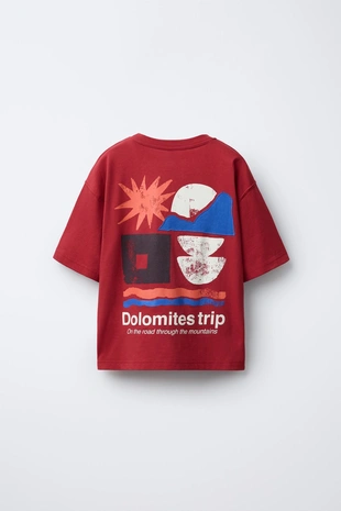 Футболка с принтом- Заказать в России