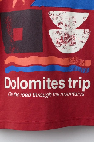 Футболка с принтом- Заказать в России