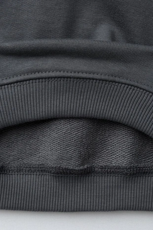 Толстовка с принтом «динозавр»- Заказать в России