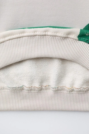 Толстовка с принтом «динозавры»- Заказать в России