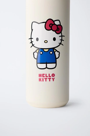 Бутылка из нержавеющей стали HELLO KITTY © SANRIO 600 мл- Заказать в России