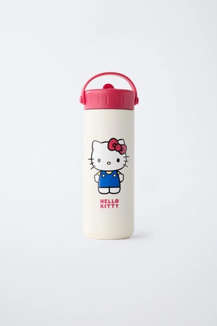 Бутылка из нержавеющей стали HELLO KITTY © SANRIO 600 мл- Заказать в России