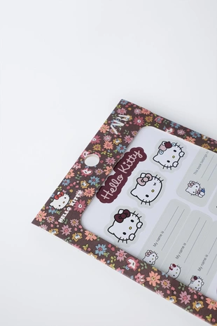 Набор наклеек HELLO KITTY © SANRIO- Заказать в России