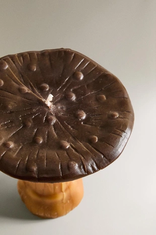 Большая темная свеча в форме гриба с ароматом тыквенных пряностей- Заказать в России