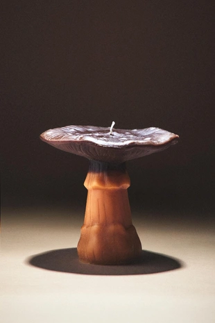 Большая темная свеча в форме гриба с ароматом тыквенных пряностей- Заказать в России