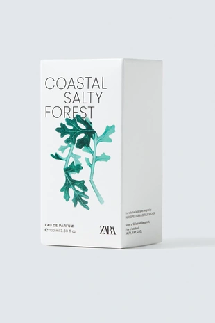 Парфюм ZARA COASTAL SALTY FOREST EDP 100мл (3,38 жидк. унц.)- Заказать в России