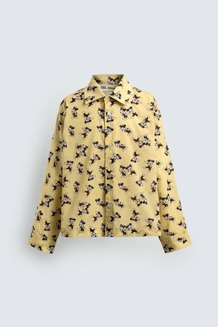 Купить Zara Рубашка MORTY + FERDY HARRY LAMBERT FOR ZARA X DISNEY