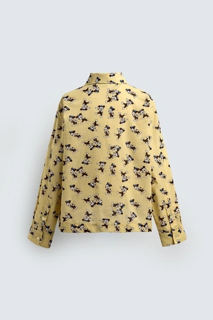 Yellow | 6085/405/300 - Zara Рубашка MORTY + FERDY HARRY LAMBERT FOR ZARA X DISNEY