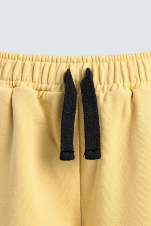 Yellow | 9007/589/300 - Zara Брюки-джоггеры DAISY DUCK HARRY LAMBERT FOR ZARA X DISNEY