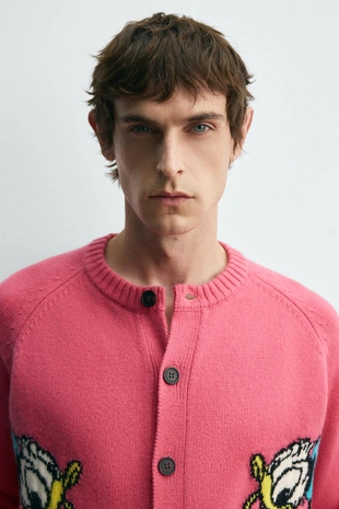 Шерстяной кардиган DONALD DUCK HARRY LAMBERT FOR ZARA X DISNEY- Заказать в России