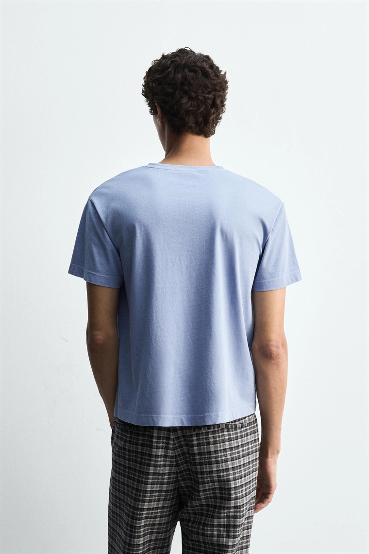 Футболка mickey + pluto harry lambert для zara x disney