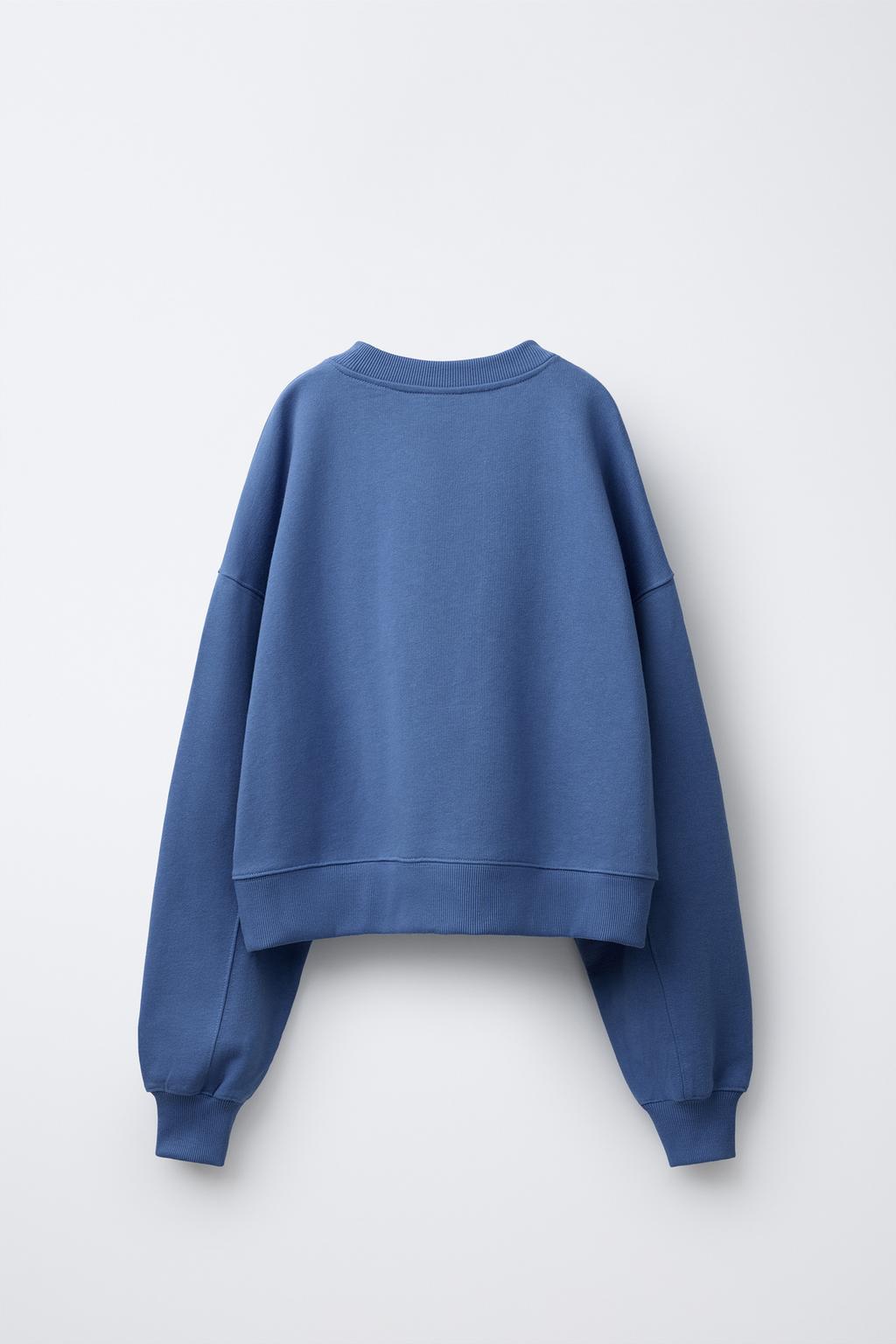 ТОЛСТОВКА С ВЫШИВКОЙ CHAMPION ® X ZARA