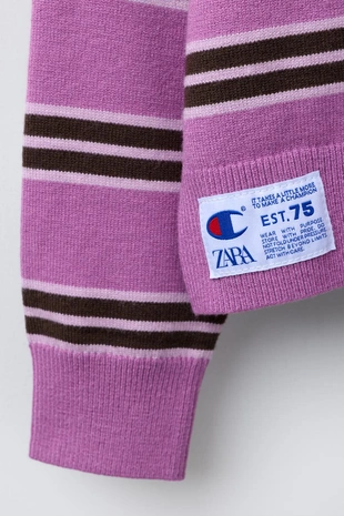 Трикотажный джемпер в полоску с вышивкой CHAMPION ® X ZARA- Заказать в России