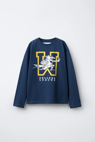 Футболка в университетском стиле- Заказать в России