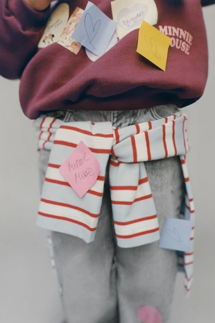 Толстовка с нашивками MINNIE MOUSE AND FRIENDS © DISNEY- Заказать в России