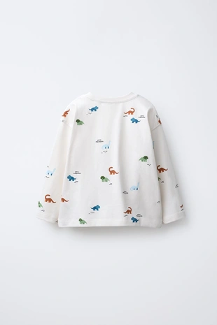 Купить Zara Футболка с принтом