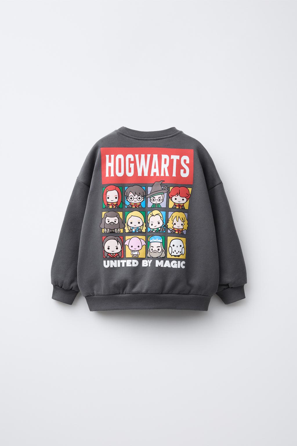 ТОЛСТОВКА HARRY POTTER ™