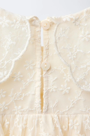 Платье из полупрозрачной ткани с вышивкой- Заказать в России