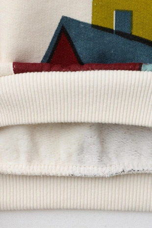 Толстовка с принтом «дома»- Заказать в России