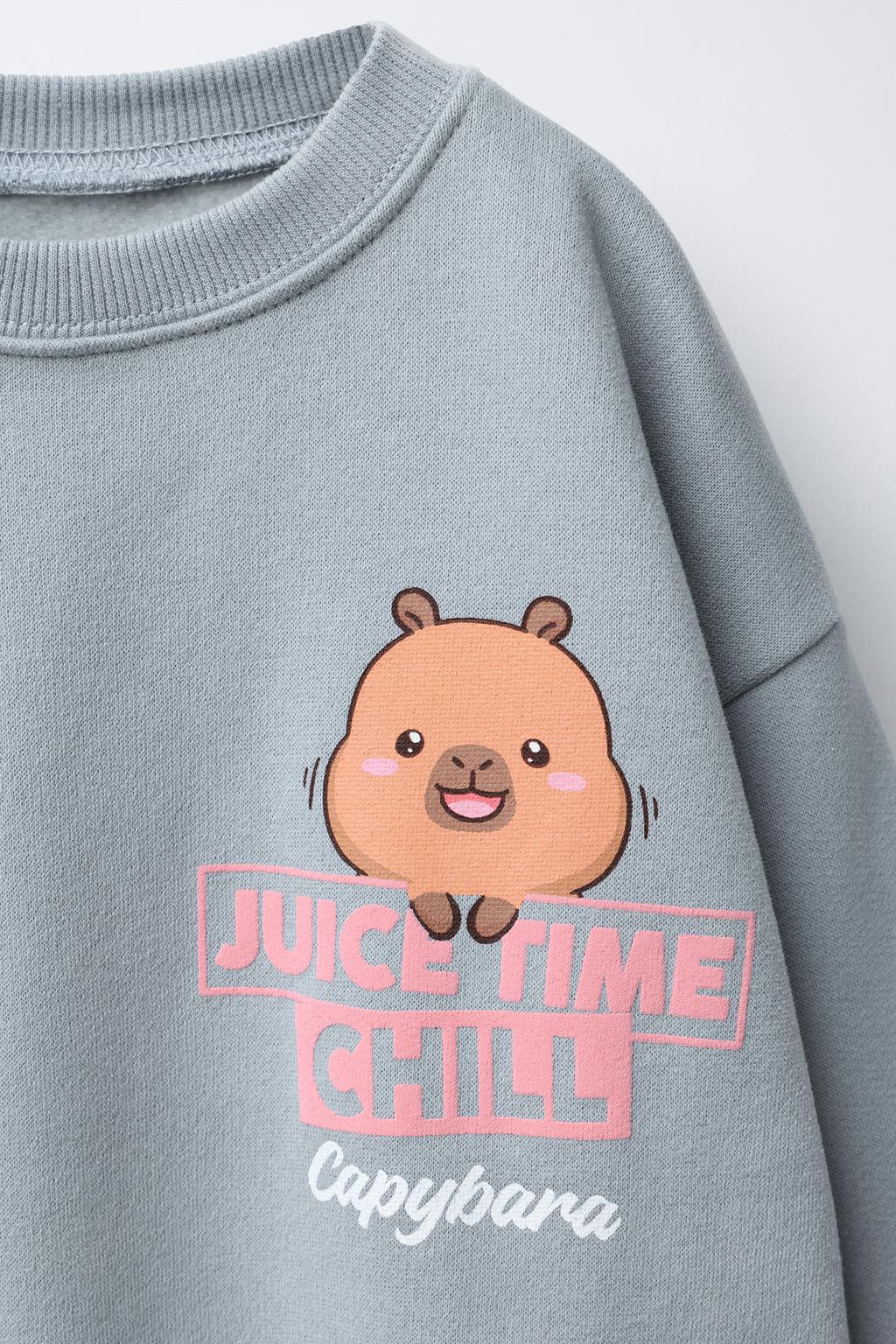 ТОЛСТОВКА С ПРИНТОМ CAPIBARA CAPYFUN ©