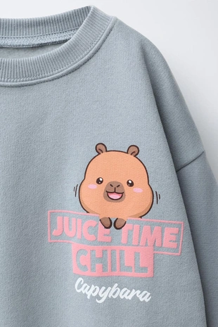 Blue grey | 7878/678/819 - Zara Толстовка с принтом CAPIBARA CAPYFUN ©