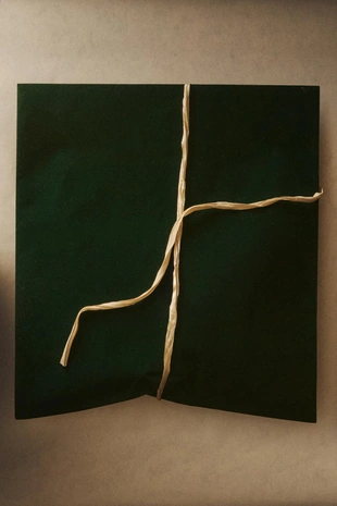 Заразавелюровый подарочный пакет на рождество с застежкой сверху- Заказать в России