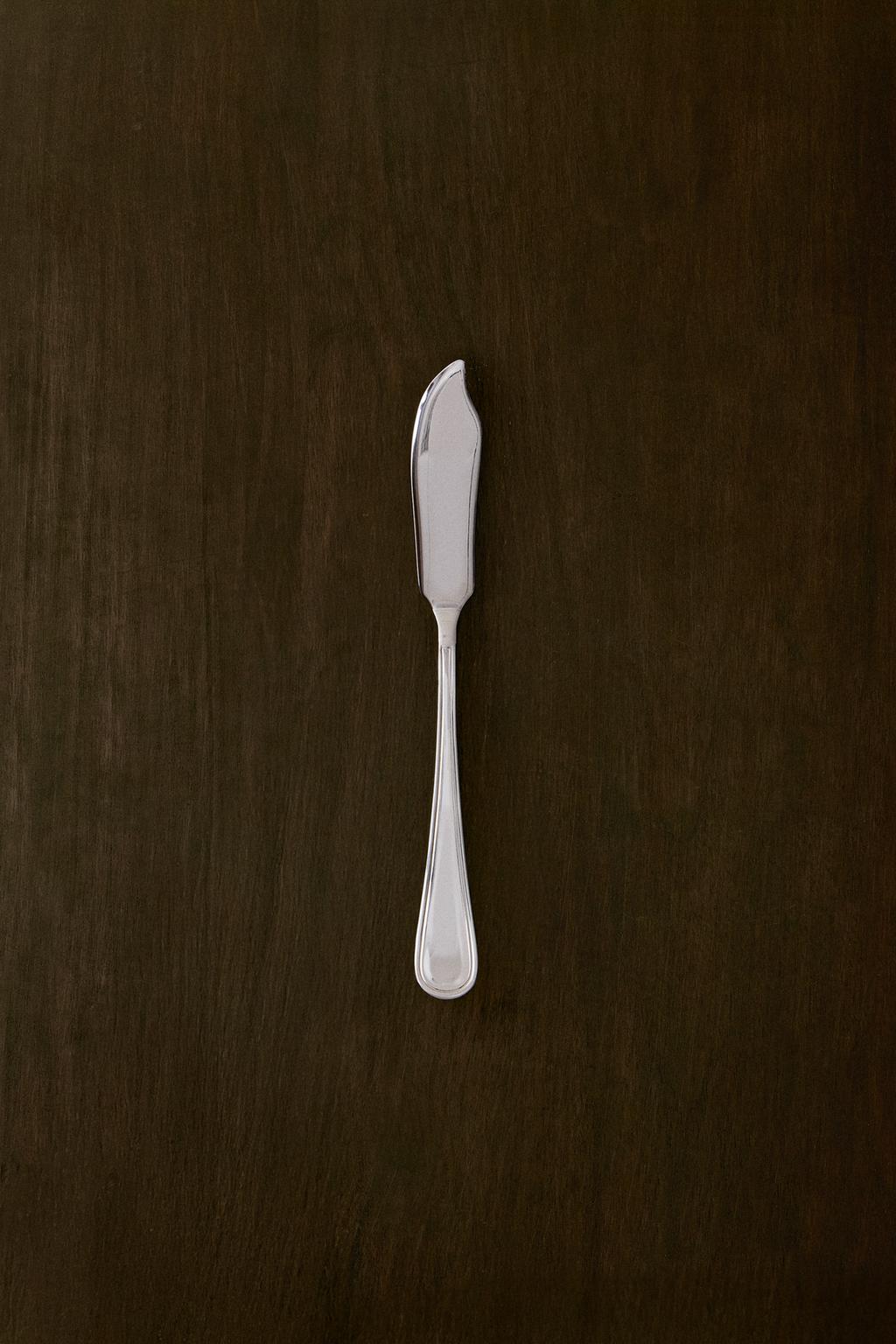 Блестящий стальной нож для рыбы