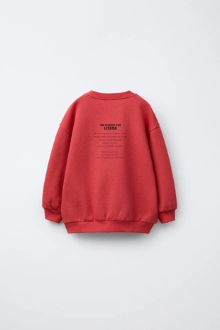 Толстовка с круглым вырезом и длинным рукавом- Заказать в России