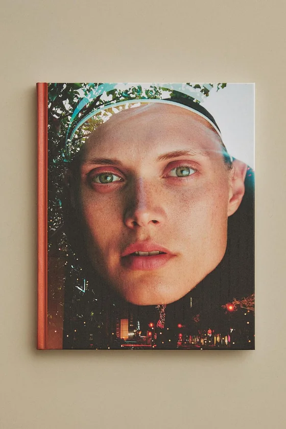 Книга модель