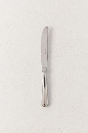 Блестящий стальной нож- Заказать в России