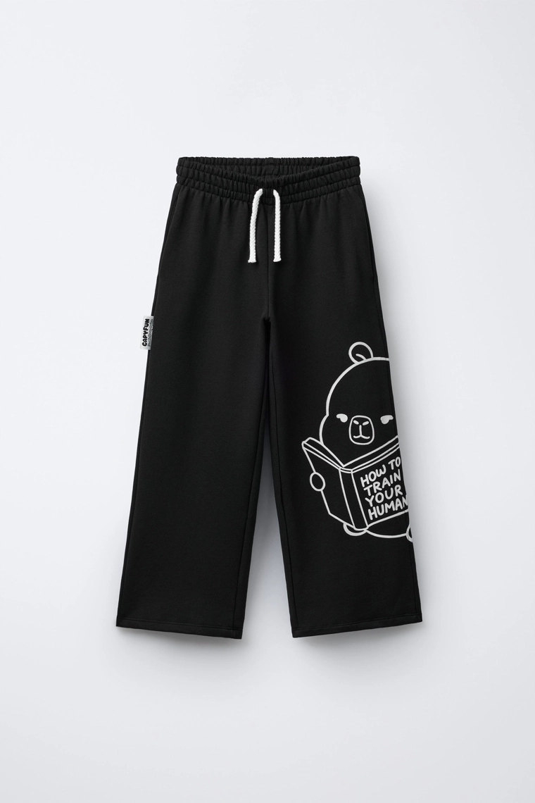 Широкие плюшевые брюки с принтом capybara capyfun ©