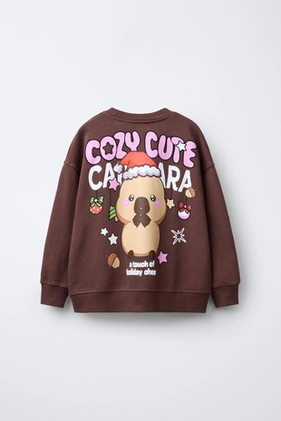 Свитшот с принтом «капибара капифан» ©- Заказать в России